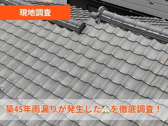 現地調査　